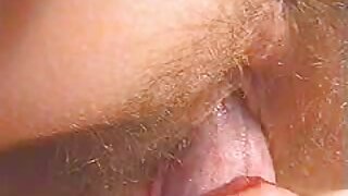 Massieve tieten brun ...